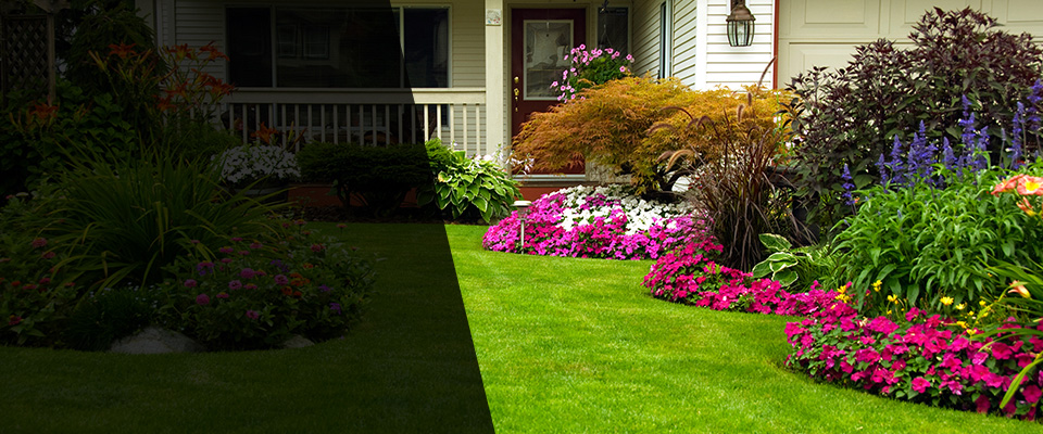 Moline Landscapers