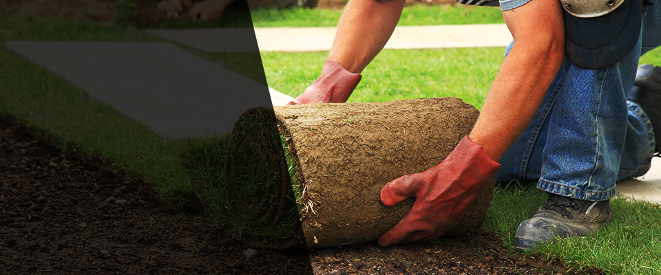 Moline Landscapers